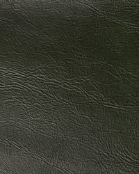 Rambler 33 Loden by  Kravet 