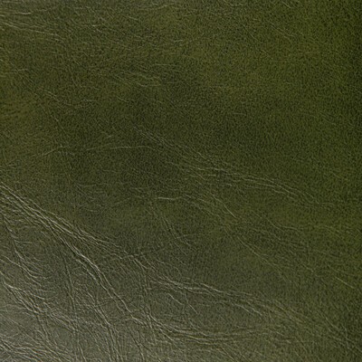 Kravet Rambler 3 Verde RAMBLER.3 Green Upholstery -  Blend Fire Rated Fabric
