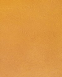 Rambler 4 Saffron by  Kravet 