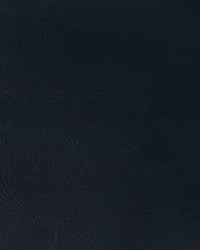 Rambler 50 Midnight by  Kravet 