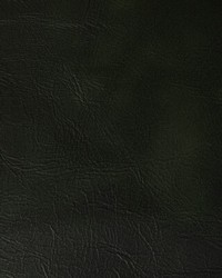 Rambler 53 Forest by  Kravet 