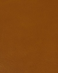 Rambler 612 Plateau by  Kravet 