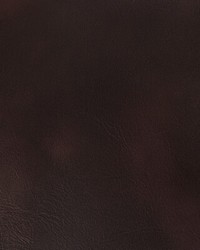 Rambler 66 Brandy by  Kravet 