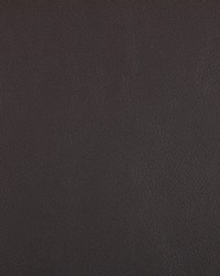 Rand 811 Mocha by  Kravet 