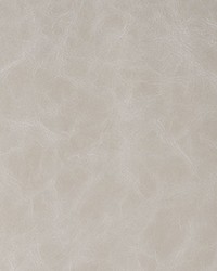 Randwick 106 Shale by  Kravet 