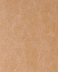 Randwick 16 Buckskin by  Kravet 