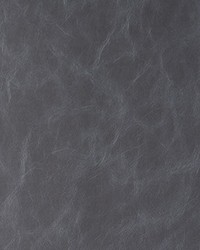 Randwick 21 Supernova by  Kravet 