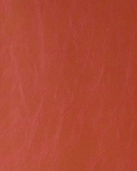 Randwick 24 Cinnamon by  Kravet 