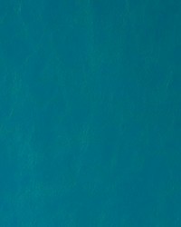 Randwick 35 Nile by  Kravet 