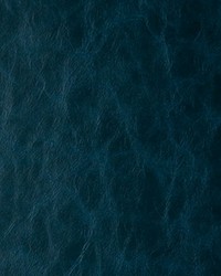 Randwick 53 Neptune by  Kravet 