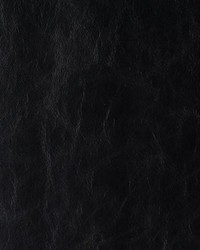 Randwick 8 Jet Set by  Kravet 