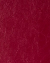 Randwick 9 Ruby by  Kravet 