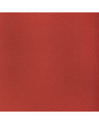 Reset 19 Raspberry by   
