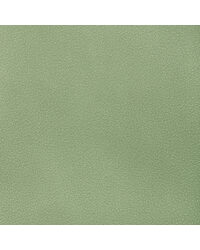 Reset 313 Spearmint by   