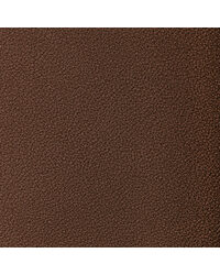 Reset 6 Umber by   