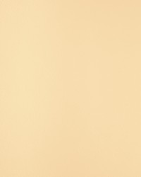 KRAVET DESIGN RIND 101 by   