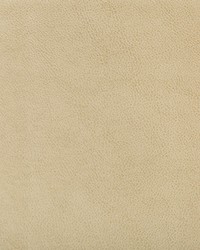 KRAVET DESIGN RUFFIAN 16 by  Kravet 