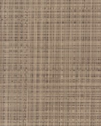 Satellite 1611 Driftwood by   