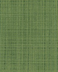 Scrimshaw 3 Cactus by   