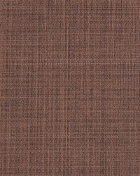 Scrimshaw 6 Cacao by   