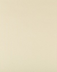 Sidney 1 Seasalt by  Kravet 