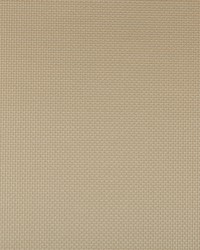 Sidney 106 Bronze by  Kravet 