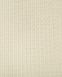 Sidney 11 Stucco by  Kravet 