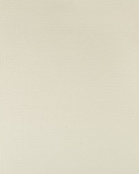 Sidney 111 Starlight by  Kravet 