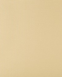 Sidney 114 Bubbly by  Kravet 