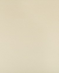 Sidney 116 Papyrus by  Kravet 