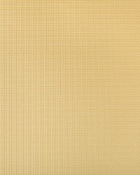 Sidney 14 Soft Gold by  Kravet 