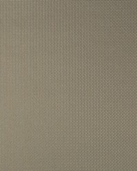 Sidney 2121 Porcini by  Kravet 