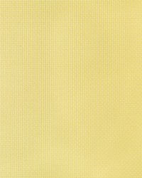 Sidney 40 Lemon Ice by  Kravet 
