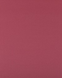 Sidney 97 Raspberry by  Kravet 