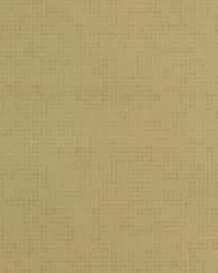 So Subtle 4 Blonde by  Kravet 