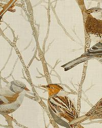 Perched Sparrows2 611 Natural by   