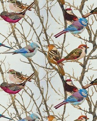 Perched Sparrows2 916 Multi by   