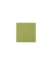 Spree 3 Cactus by  Kravet 
