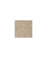 Spur 116 Sandstone by   