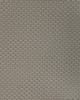 Kravet STEIN PORCINI