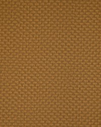 Stein 404 Marigold by  Kravet 