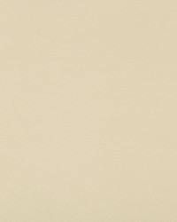 KRAVET DESIGN SWAPS 116 by  Kravet 