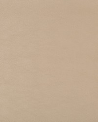 KRAVET DESIGN SWAPS 16 by  Kravet 