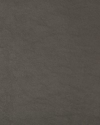 KRAVET DESIGN SWAPS 21 by  Kravet 