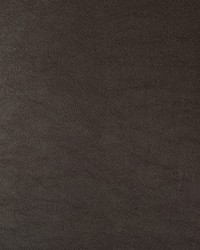 KRAVET DESIGN SWAPS 66 by  Kravet 