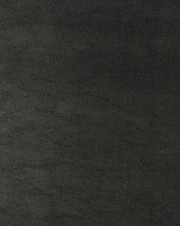 KRAVET DESIGN SWAPS 8 by  Kravet 