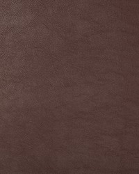 KRAVET DESIGN SWAPS 9 by  Kravet 