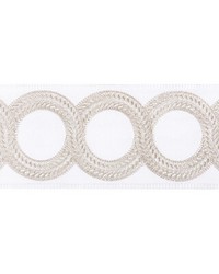 LOOPED TAPE T30829 106 PLATINUM by   