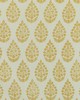 Kravet TAJPAISLEY 40