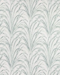 KRAVET BASICS TAMARIS 30 by  Kravet 